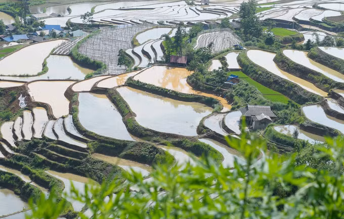 vna-potal-le-ruoc-dau-cua-dan-toc-dao-do-o-lai-chau-8264091-2.jpg