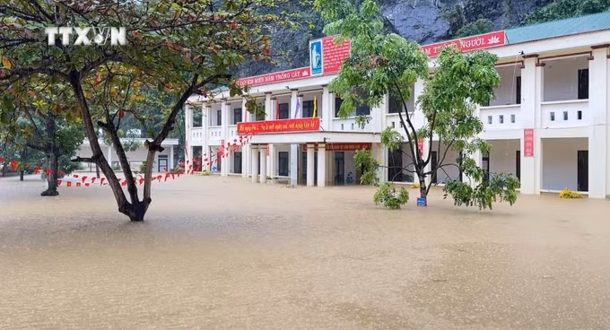 vna_potal-ninh-binh-bao-dam-an-toan-cho-hoc-sinh-trong-mua-mua-lu-9034154.jpg