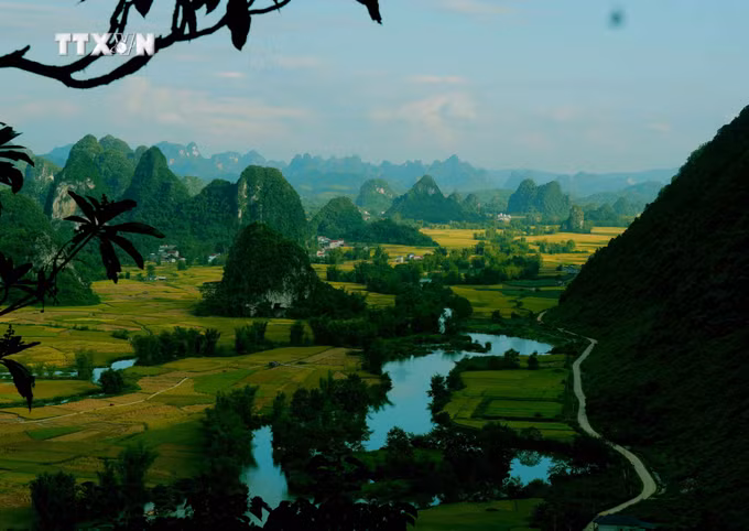 vna_potal-cao-bang-thung-lung-ngoc-con-mua-vang-9054103.jpg