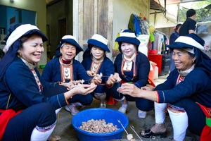 清化省玉勒乡下山村的瑶族妇女们兴高采烈地准备“年终节”的宴席。图自越通社