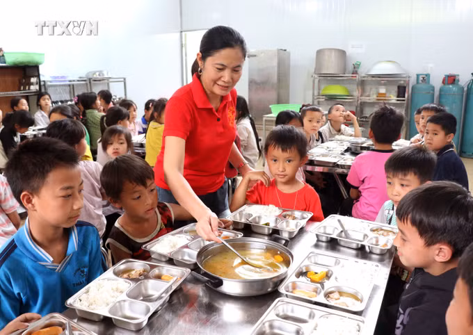 vna-potal-hieu-qua-ro-net-nghi-dinh-339-noi-vung-bien-tuyen-quang-8675468.jpg