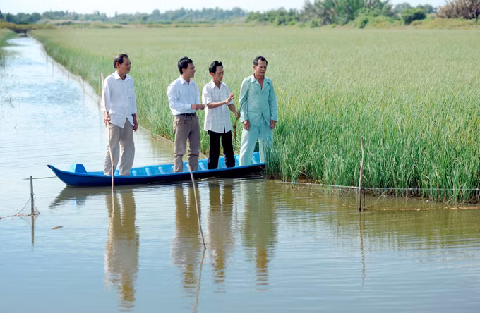 薄辽省洪民县宁盛利地带迎新春天 ảnh 3