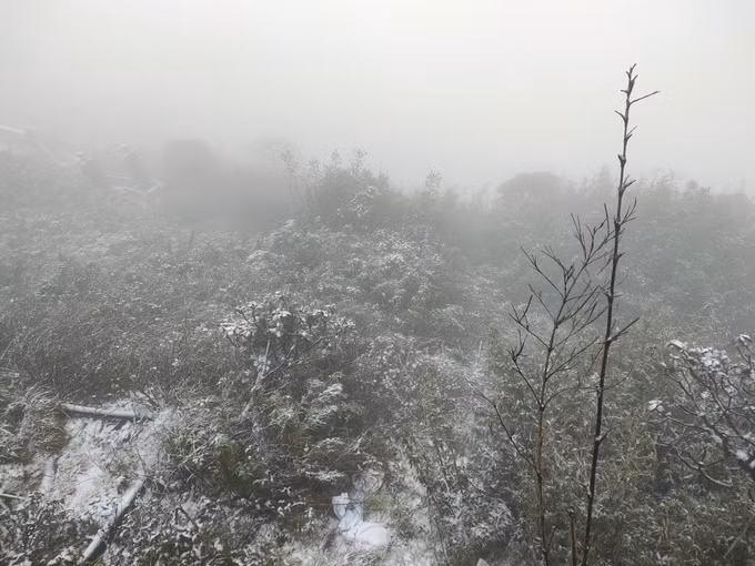 越南番西邦峰出现降雪天气 景色宛如仙境 ảnh 2