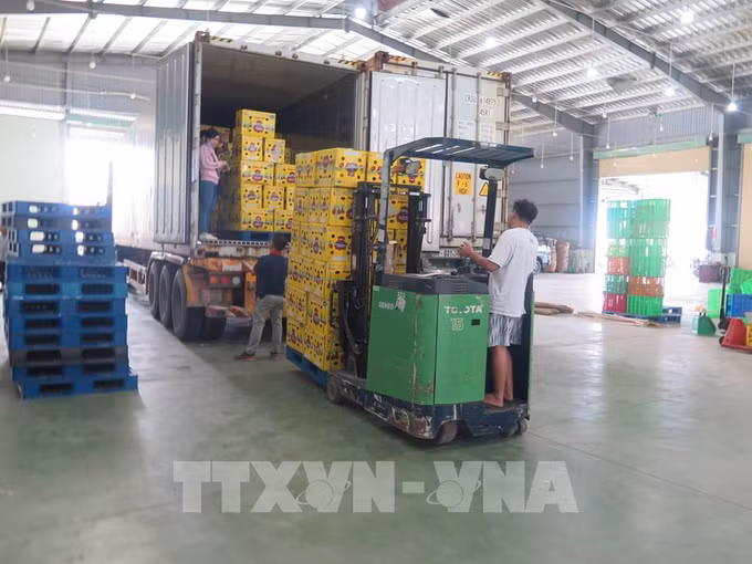 越南出口正逐步走近目标 ảnh 1