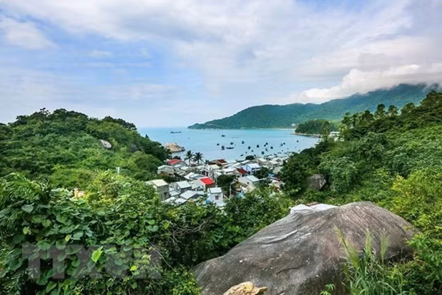 越南着力加强生物圈保护区管理工作 ảnh 2