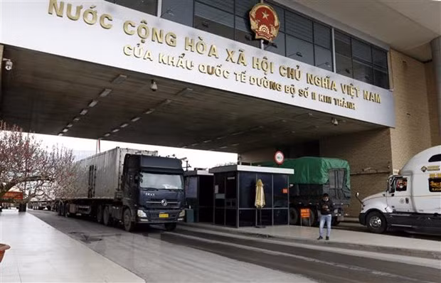 2022虎年前3天老街口岸农产品出口量达287吨 ảnh 1