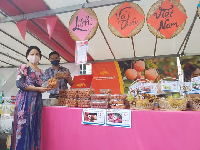 越南美食节在法国巴黎举行 ảnh 1