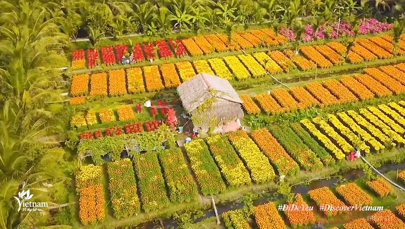 通过数字平台广泛宣传推介越南风土人情之美
