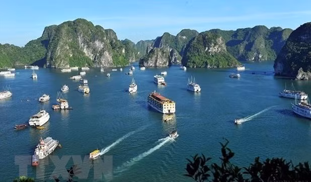 政府副总理武德儋：促进旅游业安全稳定复苏