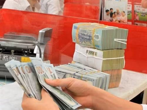 经济专家：2019年信贷增长应保持在12.5-14%区间内