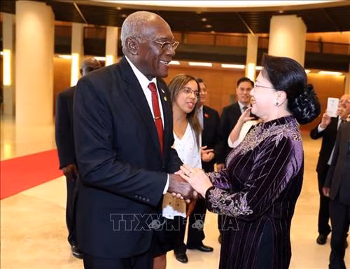 越南国会主席阮氏金银会见古巴国务委员会第一副主席兼第一副部长会议主席