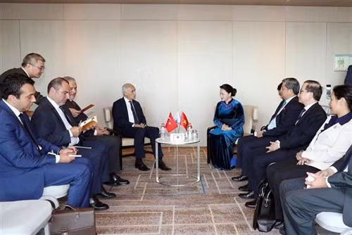 国会主席阮氏金银会见土耳其对外经济关系委员会主席