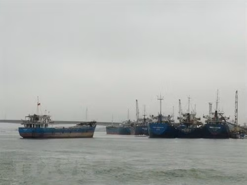 政府副总理郑廷勇就广治省海陵县美水码头投资项目作指示