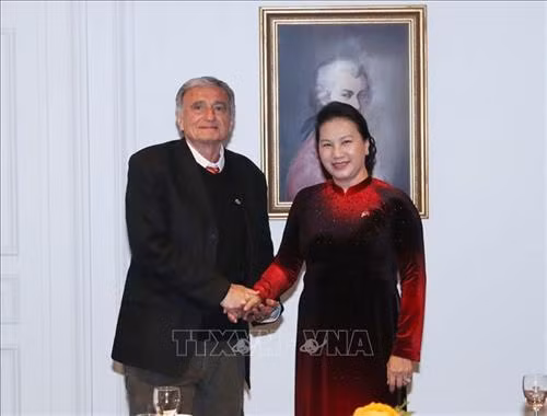 国会主席阮氏金银会见法越友好小组秘书长阿尔尚博