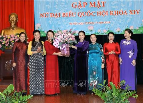 国会主席阮氏金银会见第十四届国会女代表