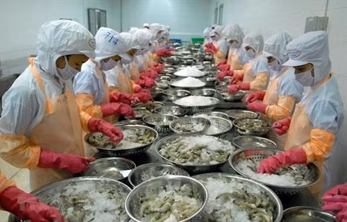 2020年第一季度越南出口额将出现下滑趋势