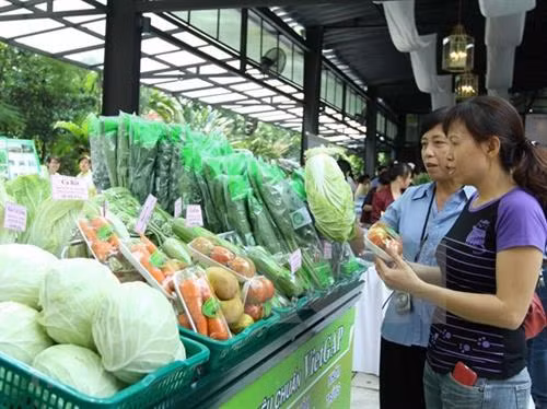2019年8月份越南蔬果出口额达2.46亿美元
