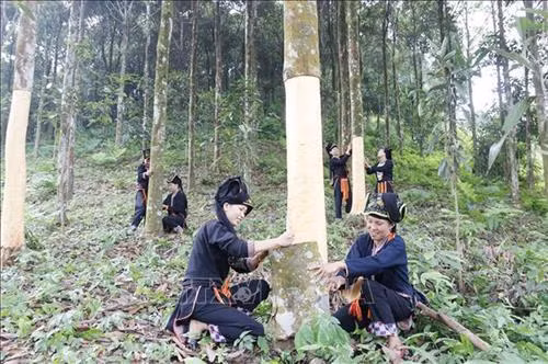 第十四届国会第八次会议：为少数民族地区经济社会发展打下坚实的基础