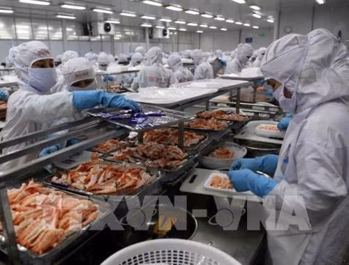 越南水产企业努力挖掘中国市场的潜力