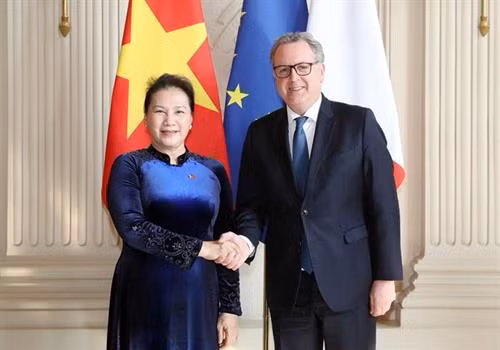 越南国会主席阮氏金银同法国国民议会议长举行会谈