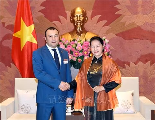 越南国会主席阮氏金银会见亚美尼亚国民议会副议长