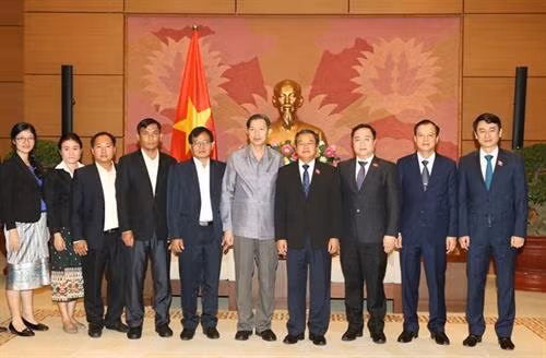 越南国会副主席杜伯巳会见老挝国会法律研究院代表团