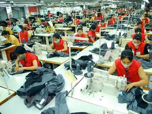 河内市商品出口额增长11.3%