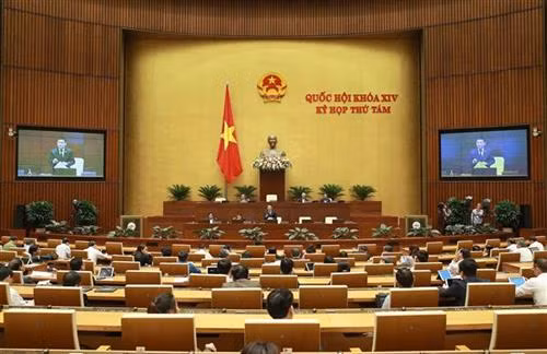越南第十四届国会第八次会议：对另外两部法案提出意见