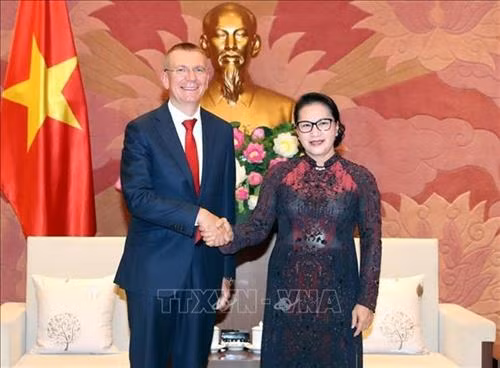 越南国会主席阮氏金银会见拉脱维亚外长林克维奇斯