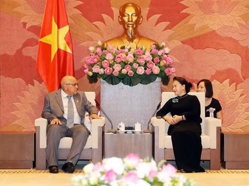 阮氏金银：越南一直以来是古巴的好同志、好朋友和好兄弟