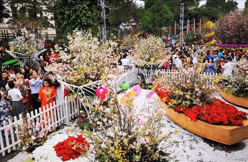 第四次河内日本樱花节吸引众多游客前来参观。图自越通社