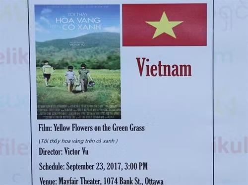 越南电影《我看见黄花在绿草中摇曳》在渥太华东盟电影周放映。（图片来源：越通社）