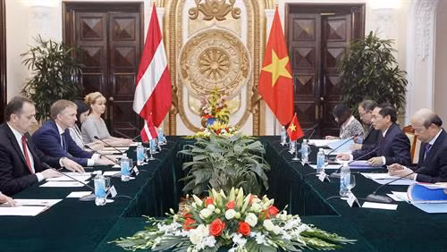 越南与拉脱维亚两国举行政治磋商。(图片来源:越通社) 越南与拉脱维亚两国举行政治磋商。(图片来源:越通社)