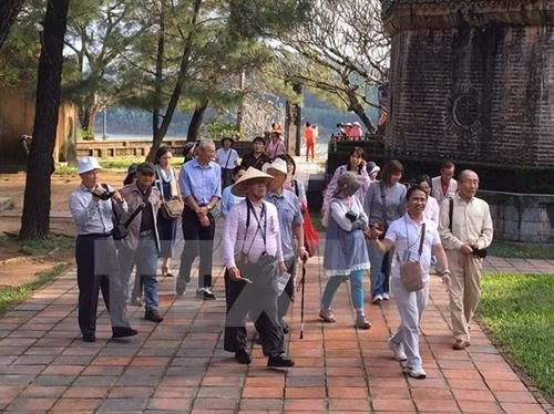 越南旅游总局建议各旅行社根据实际情况推出合适的旅游线路。（图片来源：越通社）