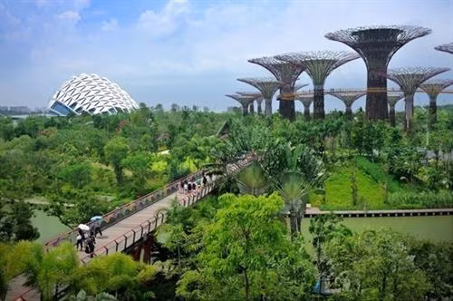 资料图：新加坡滨海湾花园 图自Eco-Business.com