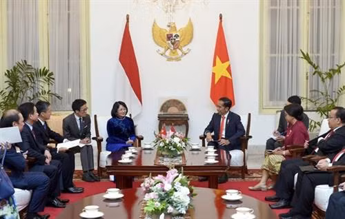 越南国家副主席邓氏玉盛会见印尼总统佐科·维多多。图自越通社 越南国家副主席邓氏玉盛会见印尼总统佐科·维多多。图自越通社