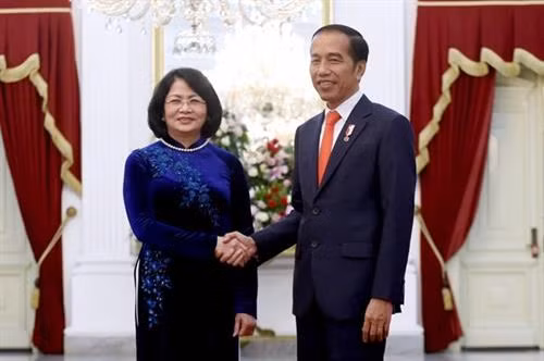 越南国家副主席邓氏玉盛与印尼总统佐科·维多多亲切握手。图自越通社 越南国家副主席邓氏玉盛与印尼总统佐科·维多多亲切握手。图自越通社