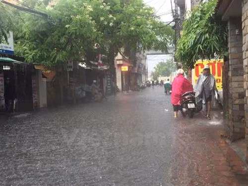 河内市遭受第二号台风的影响。（图片来源：越通社）