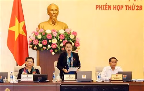 越南国会主席阮氏金银在会议上发言。图自越通社