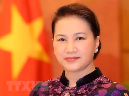 越南国会主席阮氏金银。图自越通社