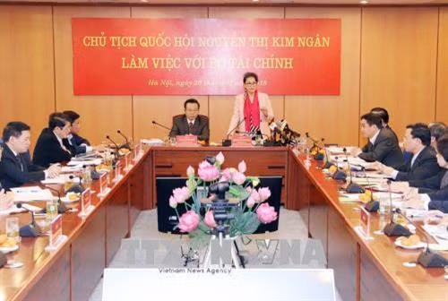 越南国会主席阮氏金银在会议上发表讲话。 越通社记者 仲德 摄