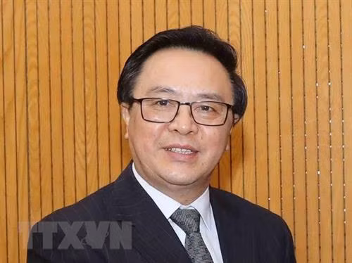 越共中央对外部部长黄平君。（图片来源：越通社）
