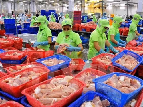 上半年农林水产增长3%以上。（图片来源：越通社）