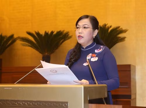 国会常委会委员、国会常委会民愿委员会主任阮青海作第十四届国会第三次会议选民建议办理工作监督结果的报告。（图片来源：越通社）