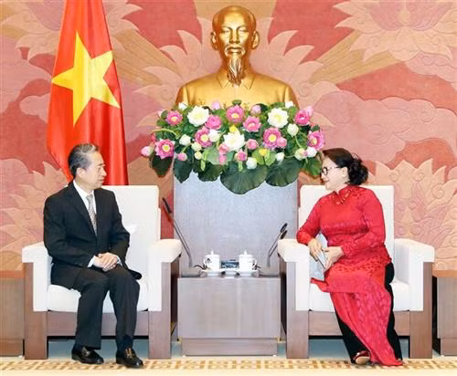 越南国会主席阮氏金银会见中国驻越大使熊波。图自越通社