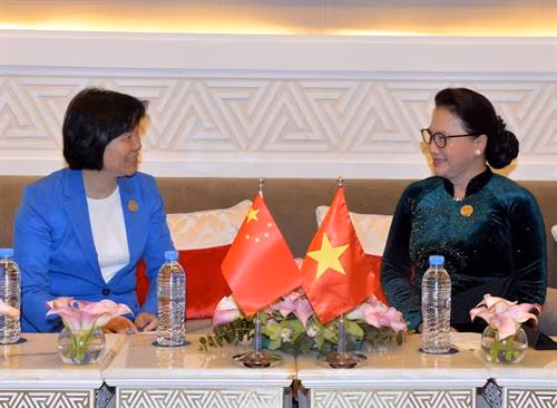 越南国会主席阮氏金银（右）与中国全国人大常委会副委员长沈跃跃（左）。图自越通社