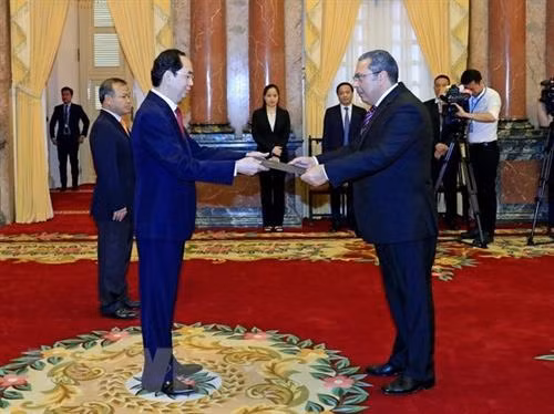 陈大光接受埃及新任驻越大使马哈茂德·哈桑尼·罗河递交国书。（图片来源：越通社）