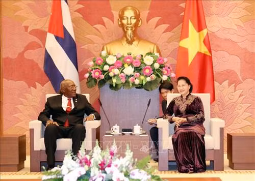 阮氏金银会见古巴国务委员会第一副主席 图自越通社 阮氏金银会见古巴国务委员会第一副主席 图自越通社