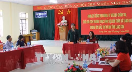 国会常务副主席丛氏放发表讲话。(图片来源:越通社) 国会常务副主席丛氏放发表讲话。(图片来源:越通社)