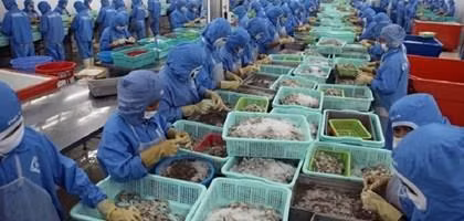 今年前7月，越南虾类出口额达18亿美元，同比下降8%。图自因特网